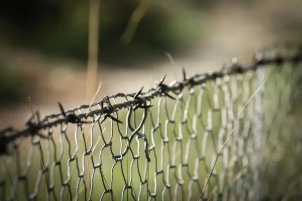 Tensions Escalate at India-Bangladesh Border Amid Allegations of Forced Push-ins