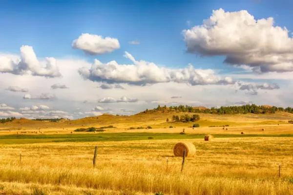 Tracing the Landscape of the Dutton Legacy: Real-World Filming Locations of the Yellowstone Spinoff