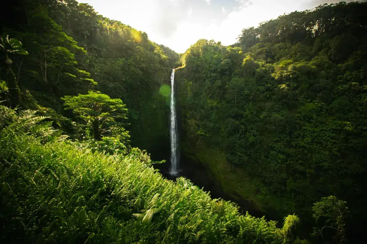 Triple Homicide Rocks Remote Hawaii Community