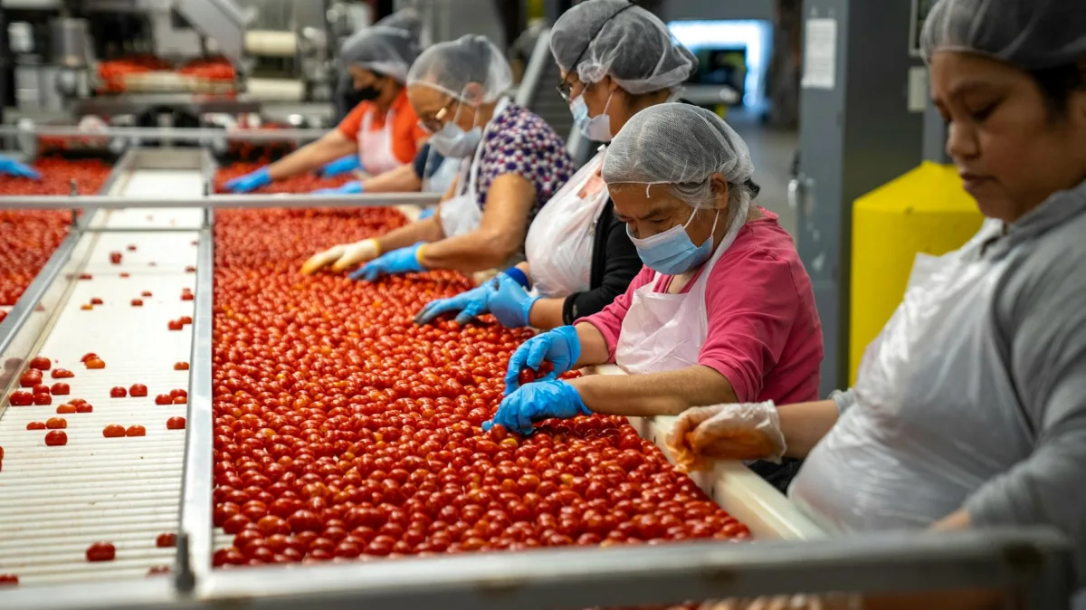 World Food Safety Day 2026: Addressing the Global Crisis of Foodborne Illness