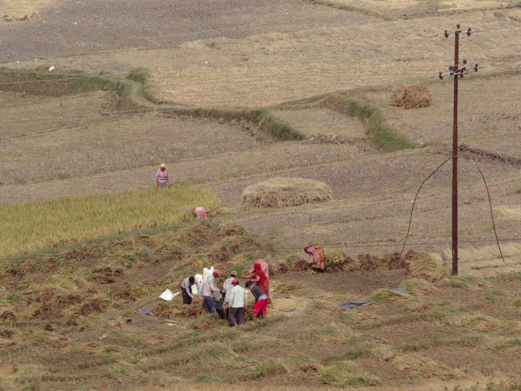 Can India's new rural jobs scheme deliver? VB-G-RAM-G may mount fiscal pressure on states