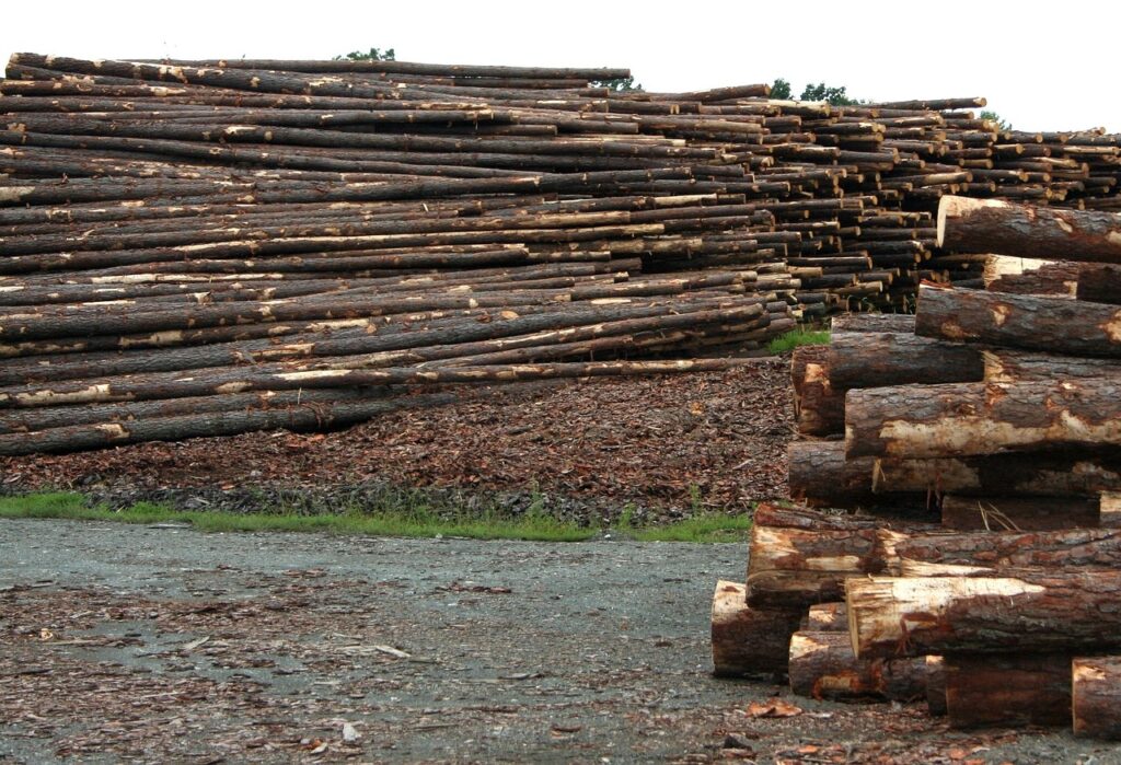 Canfor CEO Labels Alberta Sawmill Closure 'Gut-Wrenching' Amid Industry Crisis
