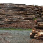 Canfor CEO Labels Alberta Sawmill Closure 'Gut-Wrenching' Amid Industry Crisis