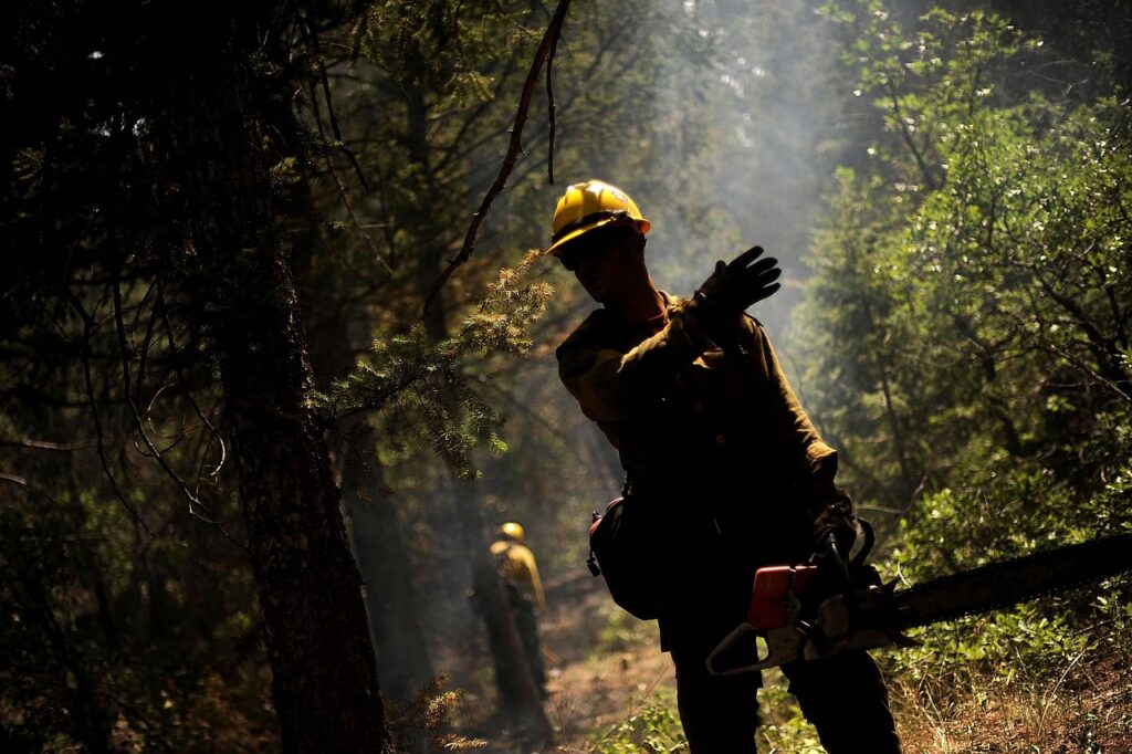 Chirping Over the Border: How Canada-U.S. Wildfire Cooperation Survives Political Smoke