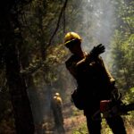 Chirping Over the Border: How Canada-U.S. Wildfire Cooperation Survives Political Smoke