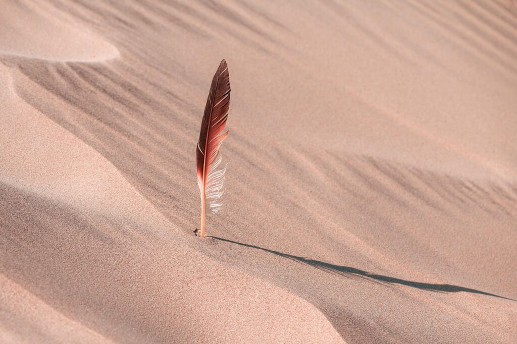 Emirati Stunt Talent Takes Center Stage in 'Dune: Part Three'