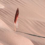 Emirati Stunt Talent Takes Center Stage in 'Dune: Part Three'