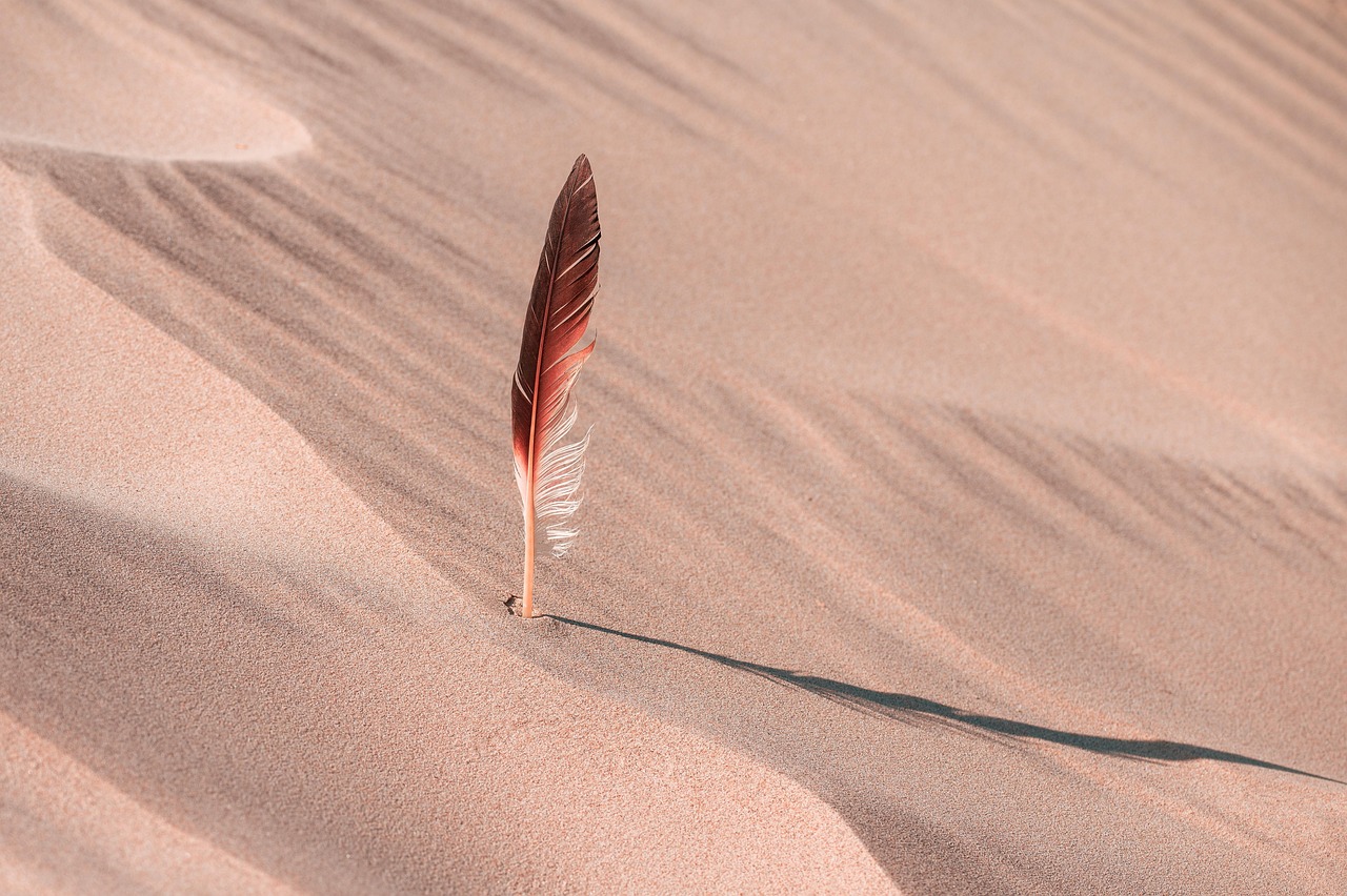 Emirati Stunt Talent Takes Center Stage in 'Dune: Part Three'