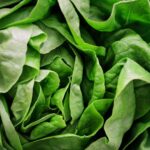 FDA Launches Investigation Into Mexican Farms and Processing Facilities Over Taco Bell Lettuce Contamination