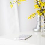 Google Sets August 12 Date for Highly Anticipated Pixel 11 Reveal