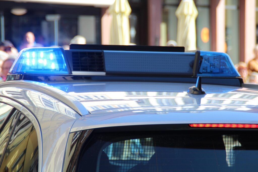 Maryland Police Search for Suspect Who Stole Kitten Before Attempting Bank Robbery