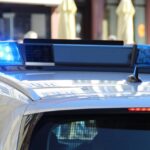 Maryland Police Search for Suspect Who Stole Kitten Before Attempting Bank Robbery