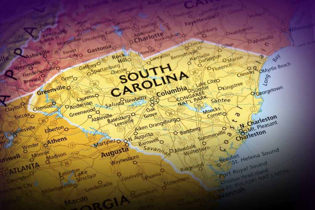 Power Struggle Brews in South Carolina as Trump's Senate Endorsement Faces Major Test