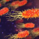 Synthetic Biology Milestone: Scientists Create Self-Replicating Artificial Cells