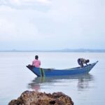The Ecological Legacy of the Nile Perch in Lake Victoria
