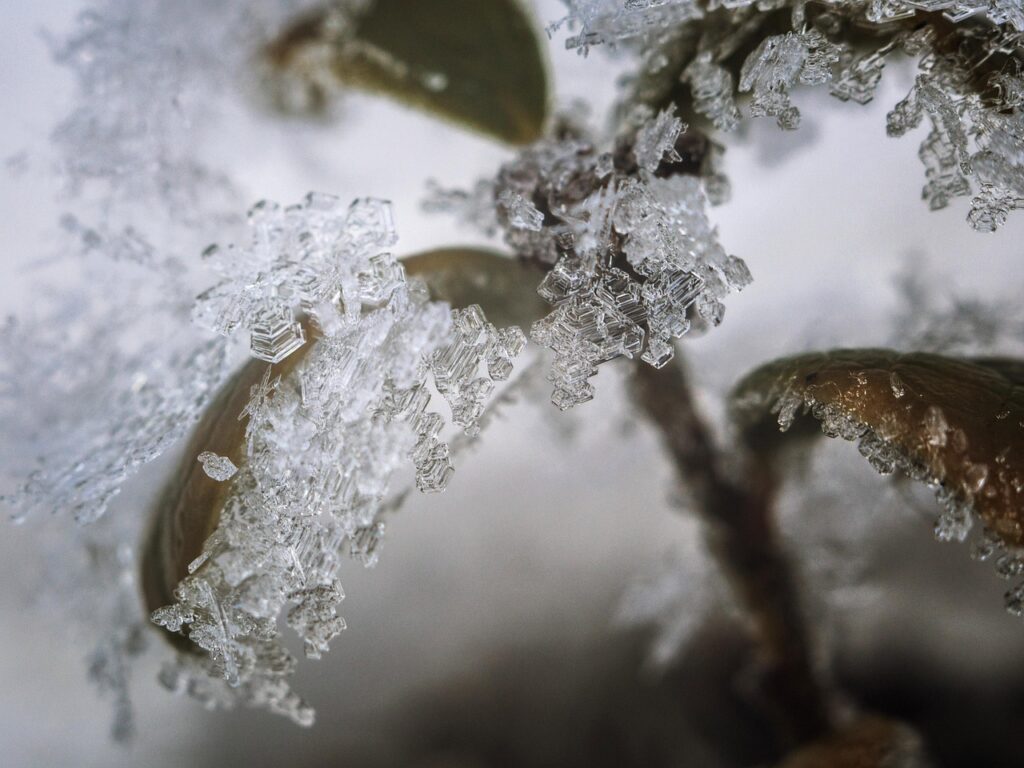 The Science of Uniqueness: Why No Two Snowflakes Are Alike