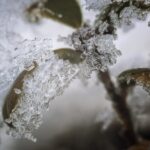 The Science of Uniqueness: Why No Two Snowflakes Are Alike