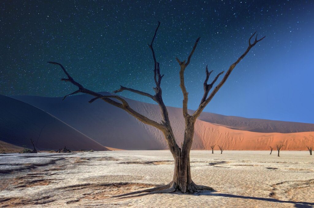 The Tragedy of the Tree of Ténéré: How the World's Most Isolated Tree Was Destroyed