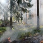 U.S. Ambassador Warns Canada of Impending Tariffs Over Wildfire Smoke