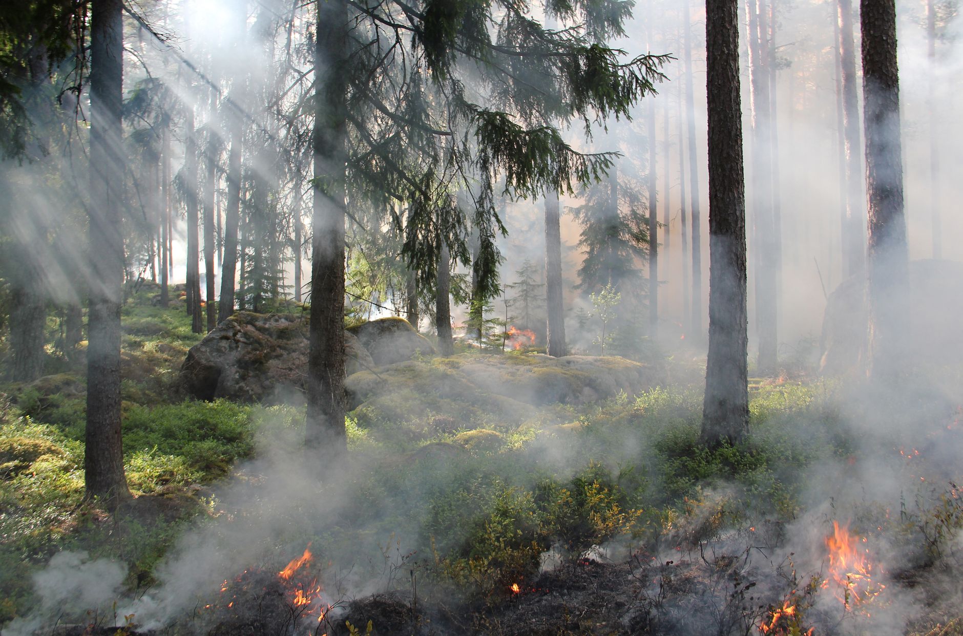U.S. Ambassador Warns Canada of Impending Tariffs Over Wildfire Smoke