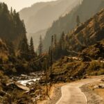 Breathtaking view of mountain road in Harsil, Uttarakhand, with lush forests and power lines.