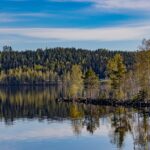 Serene landscape with forest reflections on a calm lake in springtime.
