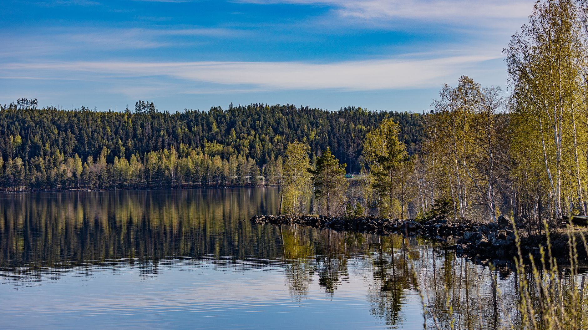 Serene landscape with forest reflections on a calm lake in springtime.