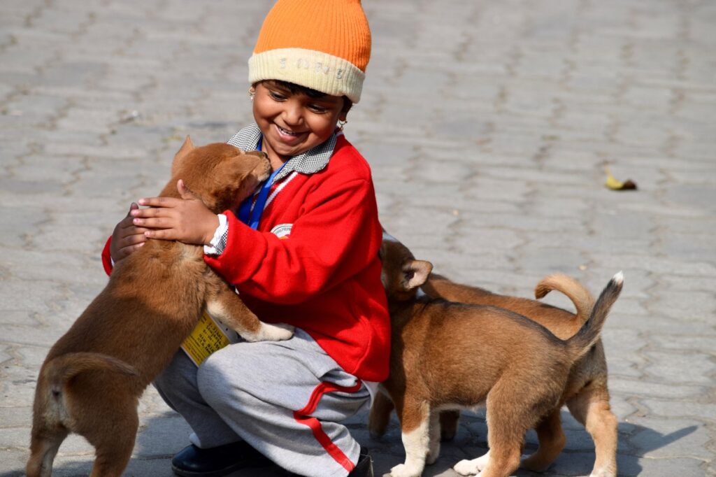 A cheerful child enjoying playful moments with puppies on a sunny day in Guwahati, India.