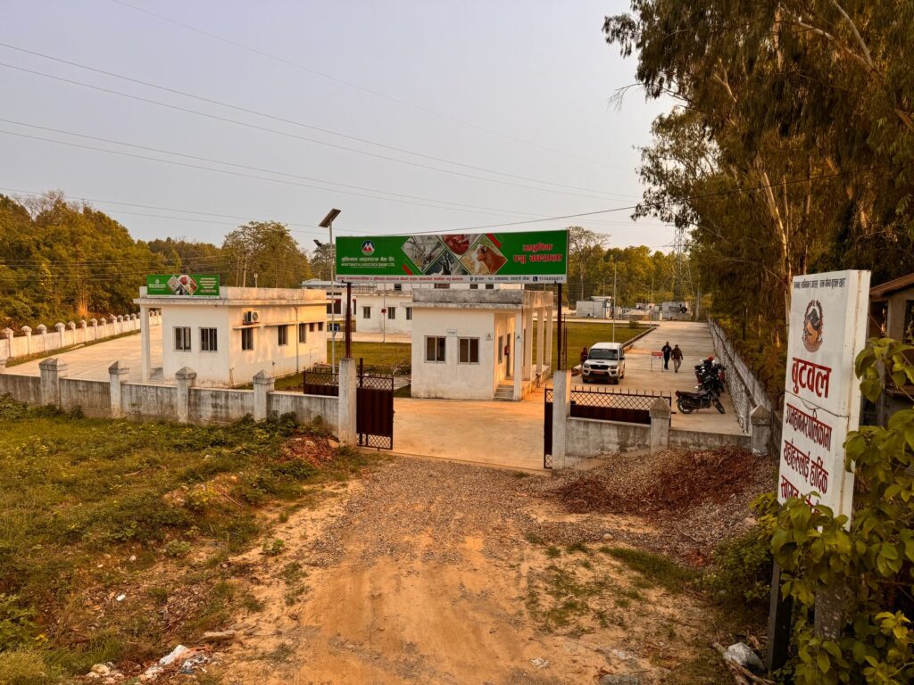 A peaceful rural building complex with an open gate at sunset, surrounded by nature.