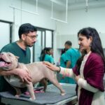 A vet examines a dog with its owner at a veterinary clinic.
