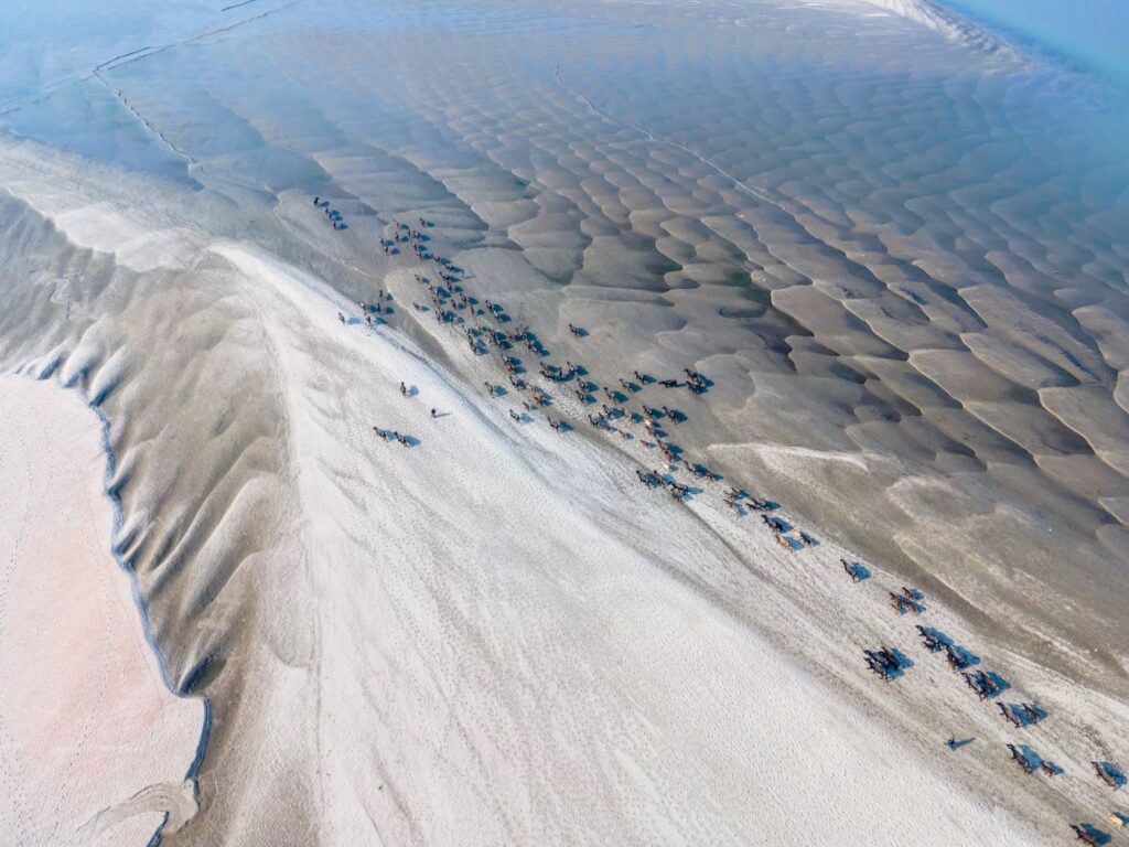 A stunning aerial capture revealing intricate sand patterns and cattle along a riverbank.