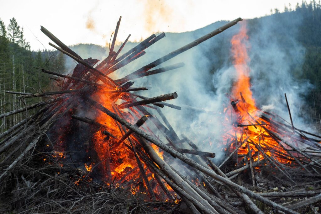 Dramatic image of a fierce fire in the woods of British Columbia, showcasing flames and smoke amidst the trees.