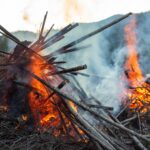 Dramatic image of a fierce fire in the woods of British Columbia, showcasing flames and smoke amidst the trees.
