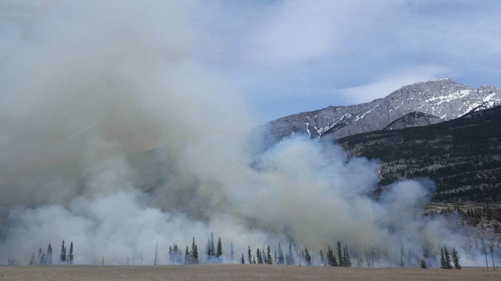 Capture of a forest fire with smoke rising against a mountain backdrop in a scenic natural landscape.