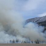 Capture of a forest fire with smoke rising against a mountain backdrop in a scenic natural landscape.