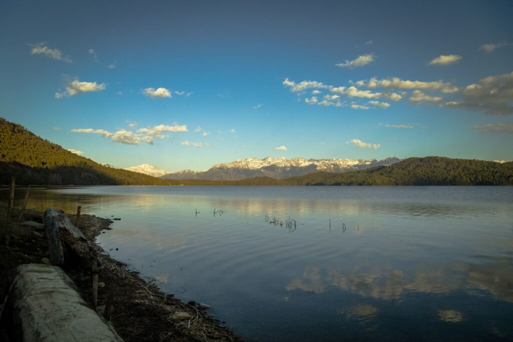 Tranquil view of Rara Lake surrounded by lush forest and snowy peaks under a clear blue sky.