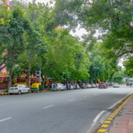 Vibrant street view in New Delhi showcasing trees, vehicles, and pedestrian activity.