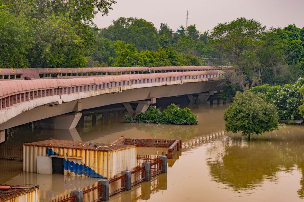 Flooded area under a bridge in New Delhi, surrounded by trees and murky water.