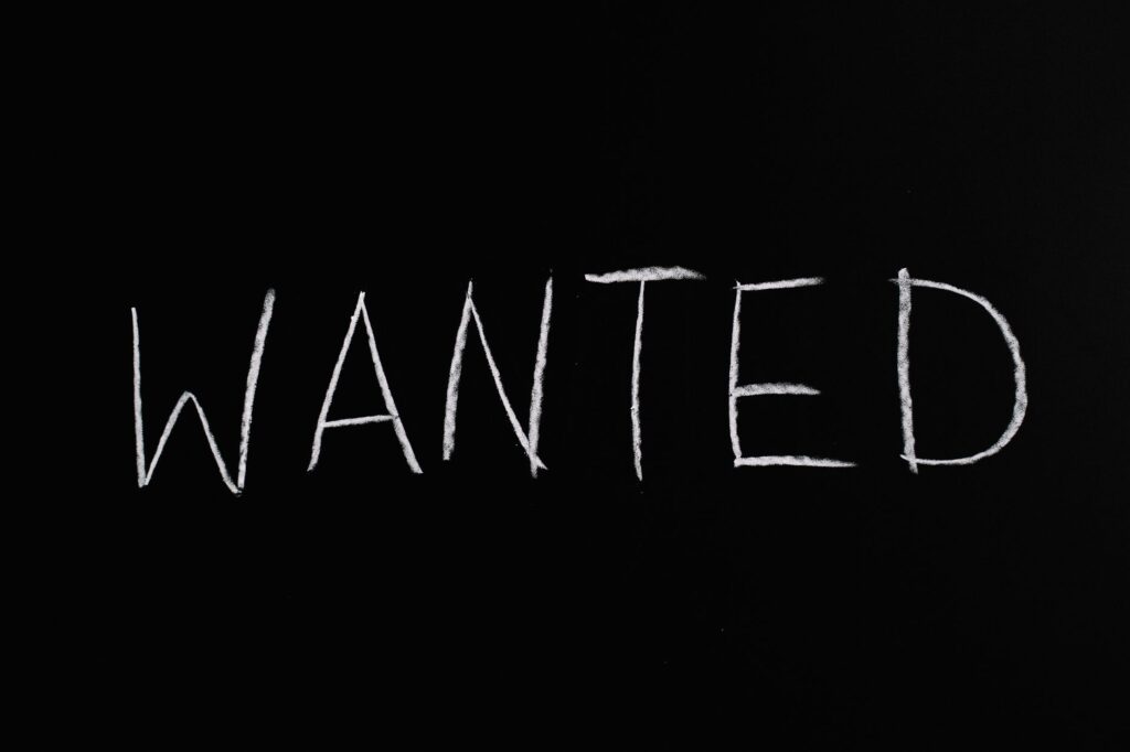 Black chalkboard with 'Wanted' written in white chalk, ideal for hiring or job concept visuals.