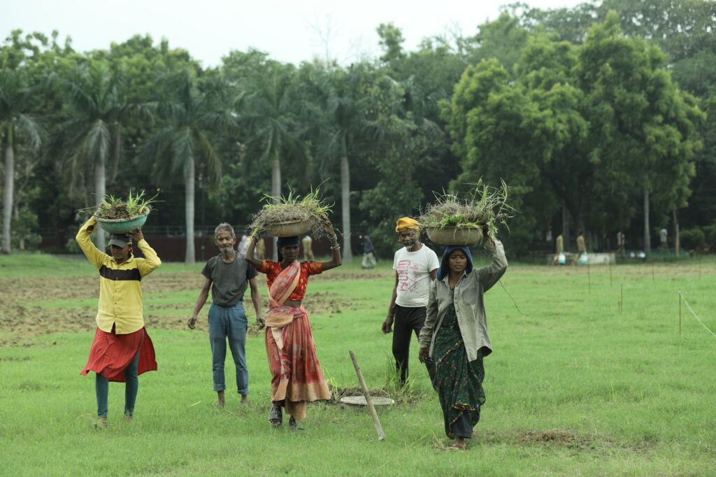 A group of Indian farmers working in lush green fields, carrying baskets of grass on their heads.