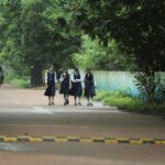 Four schoolgirls in uniform walking on a tree-lined path in Raipur, India.
