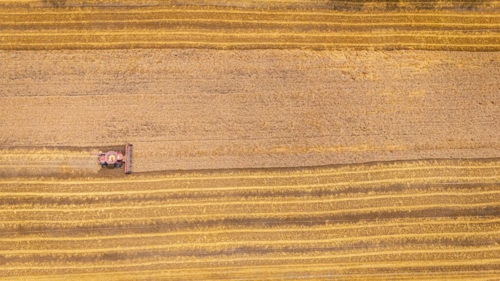 Drone shot of a harvester working the wheat fields in Macclesfield, NC.