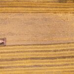 Drone shot of a harvester working the wheat fields in Macclesfield, NC.