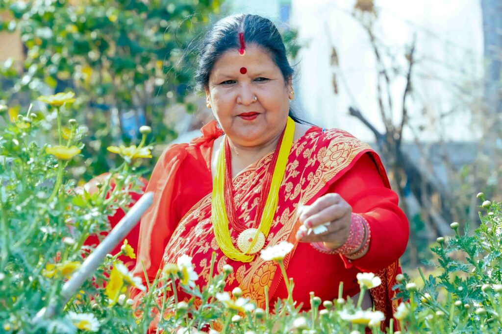 South Asian woman in vibrant red sari picking flowers in a sunny rural garden.