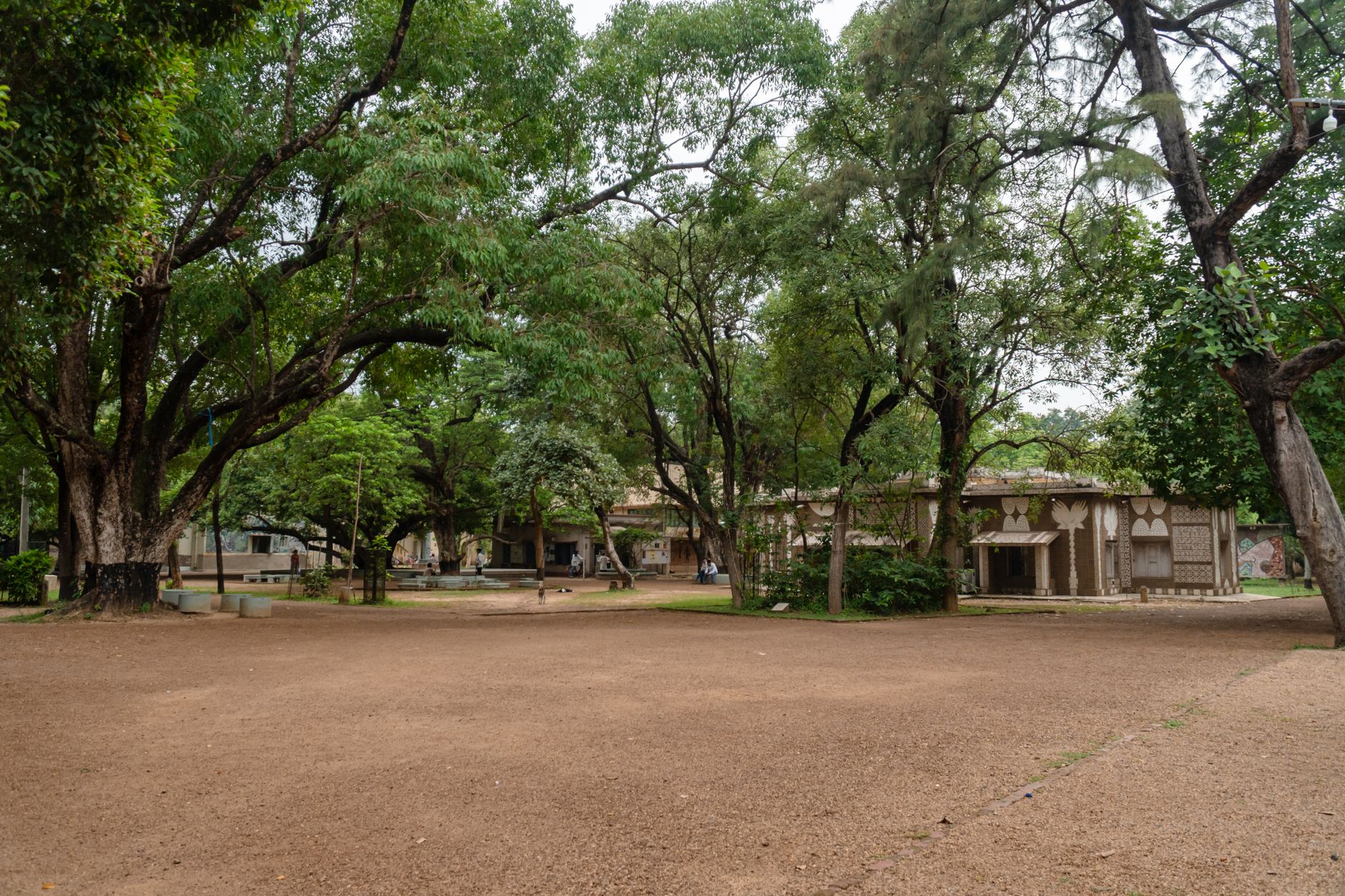 Peaceful outdoor scene featuring lush greenery at Santiniketan campus, India.