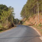 Beautiful rural road lined with pine trees in Vietnam, offering a peaceful nature escape.