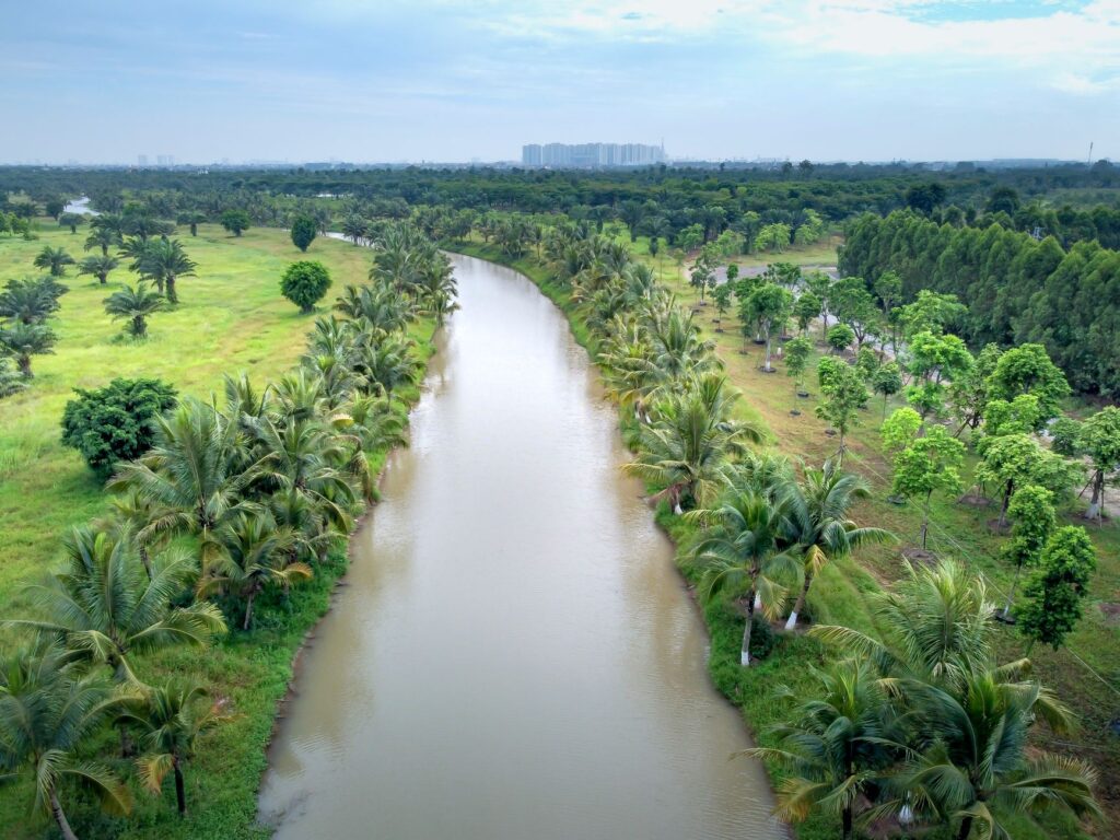 Aerial shot of a serene river surrounded by lush green fields and palm trees under a cloudy sky.