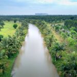 Aerial shot of a serene river surrounded by lush green fields and palm trees under a cloudy sky.