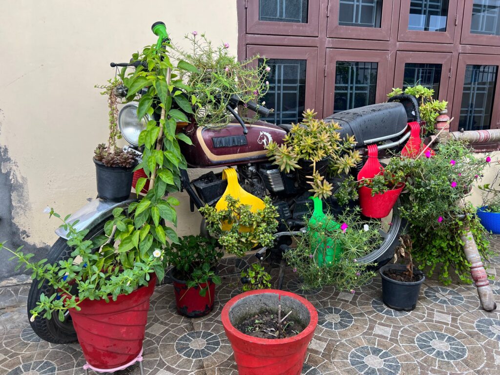 A creative display of plants and flowers on a vintage Yamaha motorcycle, offering an eco-friendly artistic vibe.