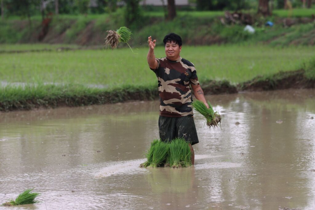 A farmer plants rice seedlings in a flooded paddy field in Lumbini Province, Nepal, during the monsoon season.